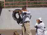 Airrifle